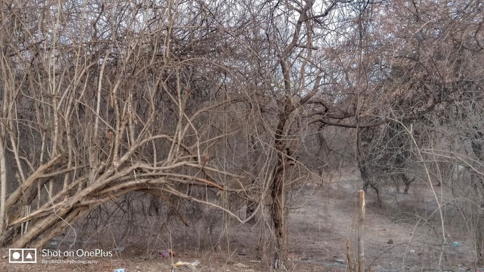 Photo of Changing face to Pune. - My Travel stories 5/7 by Rajeshwar Dayal Mathur