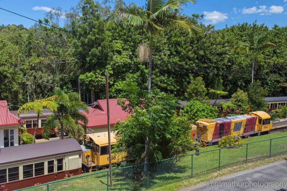 Photo of Kuranda - World Heritage Rainforest 7/8 by Rajeshwar Dayal Mathur