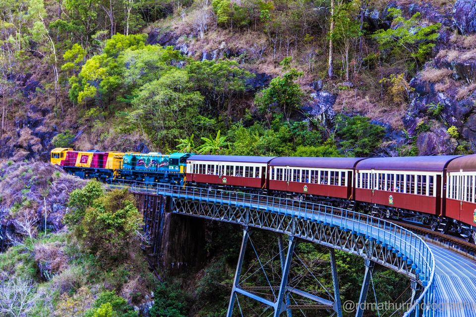 Photo of Kuranda - World Heritage Rainforest 8/8 by Rajeshwar Dayal Mathur