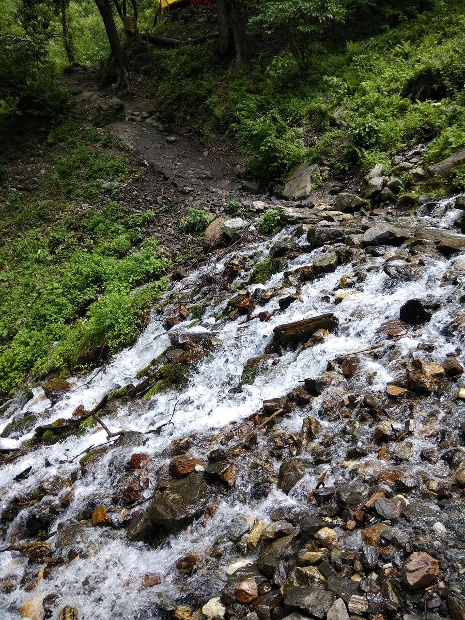 Photo of Kheerganga - Sunshine Himalayan Camp, Sosan, Himachal Pradesh, India by Aman Raghuwanshi