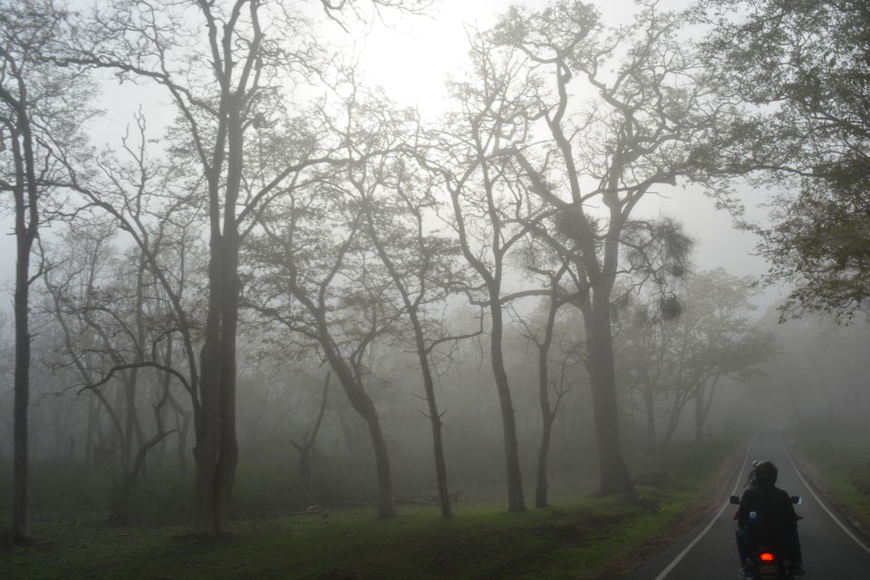 Photo of Ooty: The Land of Dancing Clouds! 1/4 by The Roads Untaken