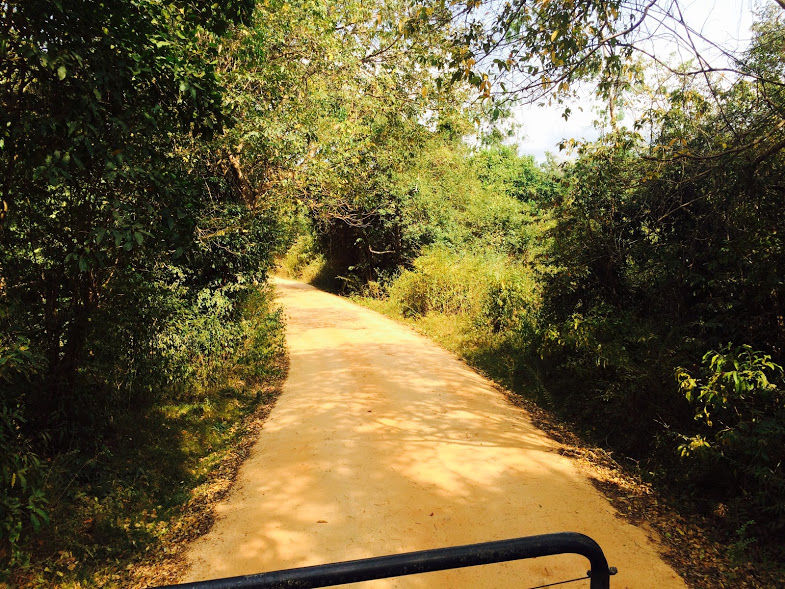 Photo of Sigiriya, Central Province, Sri Lanka by Puja & Sudi !!