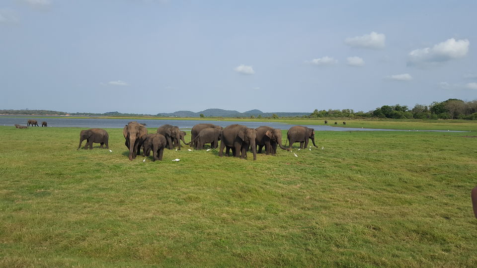 Photo of Beautiful Sri Lanka !! by We Unsettled Soul