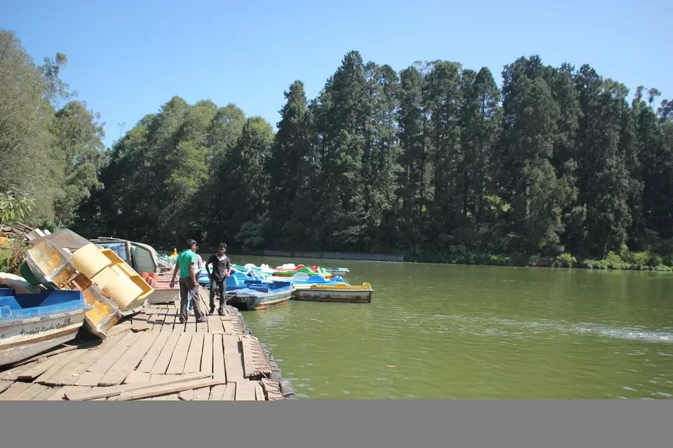 Photo of Ooty Lake, West Mere, Ooty, Tamil Nadu, India by We Unsettled Soul