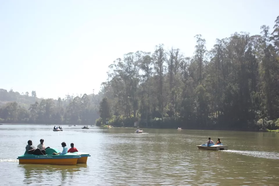 Photo of Ooty Lake, West Mere, Ooty, Tamil Nadu, India by We Unsettled Soul