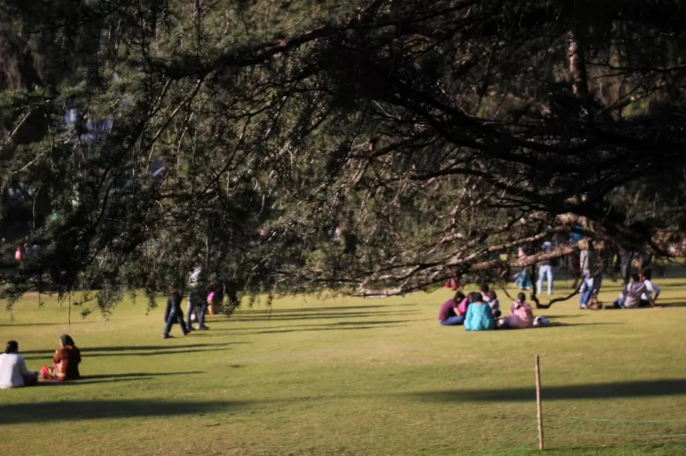 Photo of Ooty Botanical Gardens, Ooty, Tamil Nadu, India by We Unsettled Soul