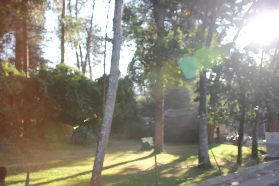 Photo of Ooty Botanical Gardens, Ooty, Tamil Nadu, India by We Unsettled Soul