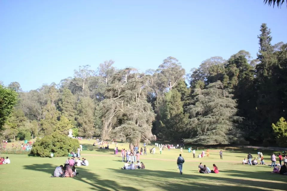 Photo of Ooty Botanical Gardens, Ooty, Tamil Nadu, India by We Unsettled Soul