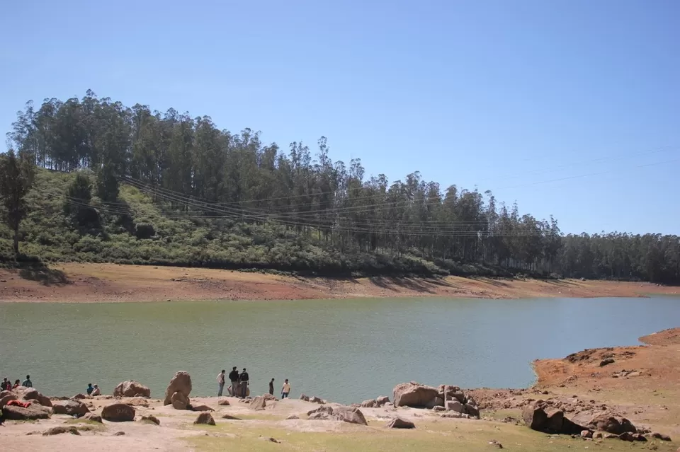Photo of Pine Forest Shooting Spot, Ooty Main, Nilgiris, Tamil Nadu, India by We Unsettled Soul