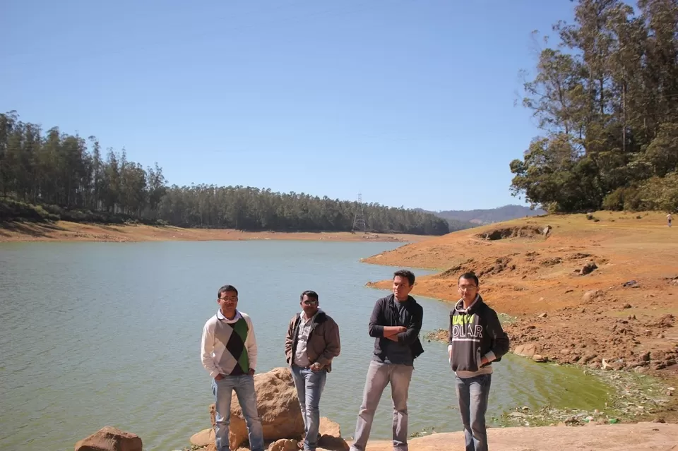 Photo of Pine Forest Shooting Spot, Ooty Main, Nilgiris, Tamil Nadu, India by We Unsettled Soul