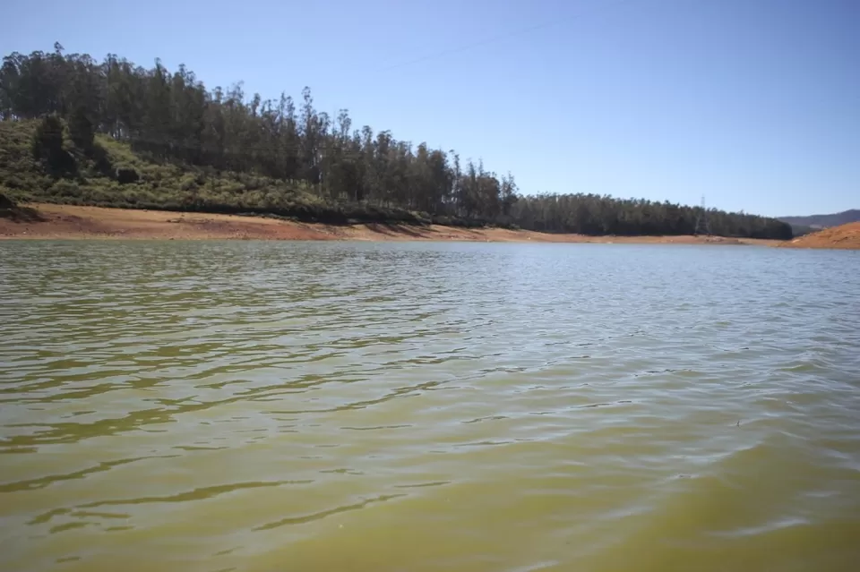 Photo of Pine Forest Shooting Spot, Ooty Main, Nilgiris, Tamil Nadu, India by We Unsettled Soul