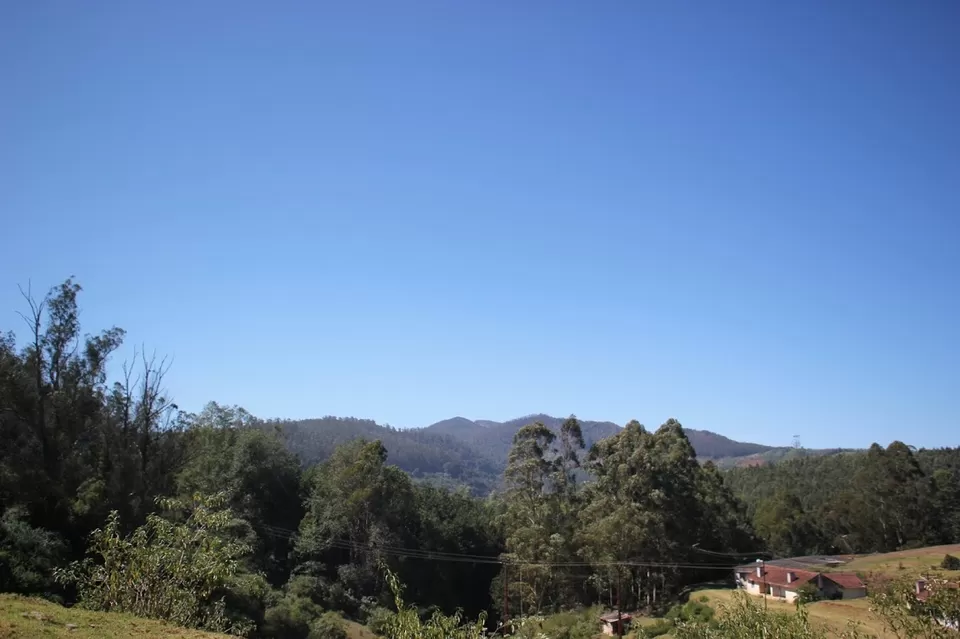 Photo of Pine Forest Shooting Spot, Ooty Main, Nilgiris, Tamil Nadu, India by We Unsettled Soul