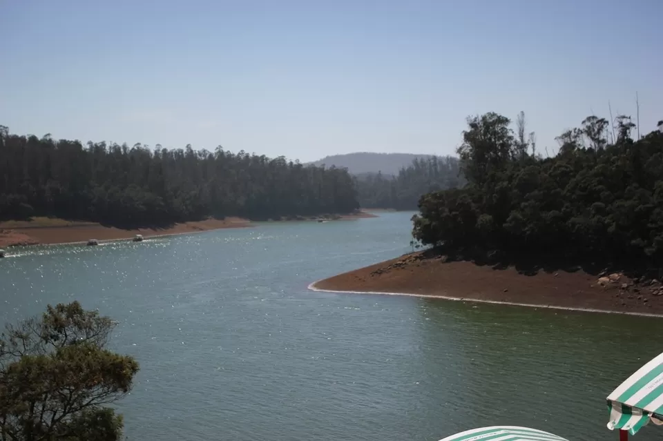 Photo of Pine Forest Shooting Spot, Ooty Main, Nilgiris, Tamil Nadu, India by We Unsettled Soul