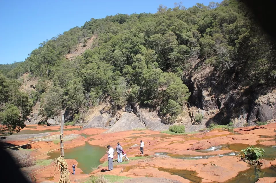 Photo of Pine Forest Shooting Spot, Ooty Main, Nilgiris, Tamil Nadu, India by We Unsettled Soul