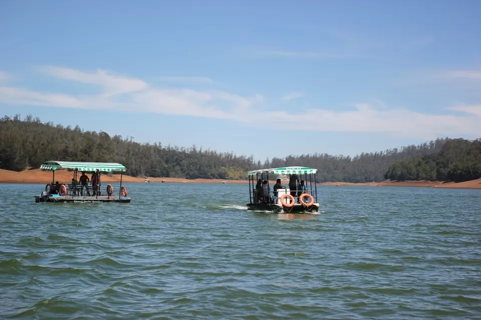 Photo of Pine Forest Shooting Spot, Ooty Main, Nilgiris, Tamil Nadu, India by We Unsettled Soul