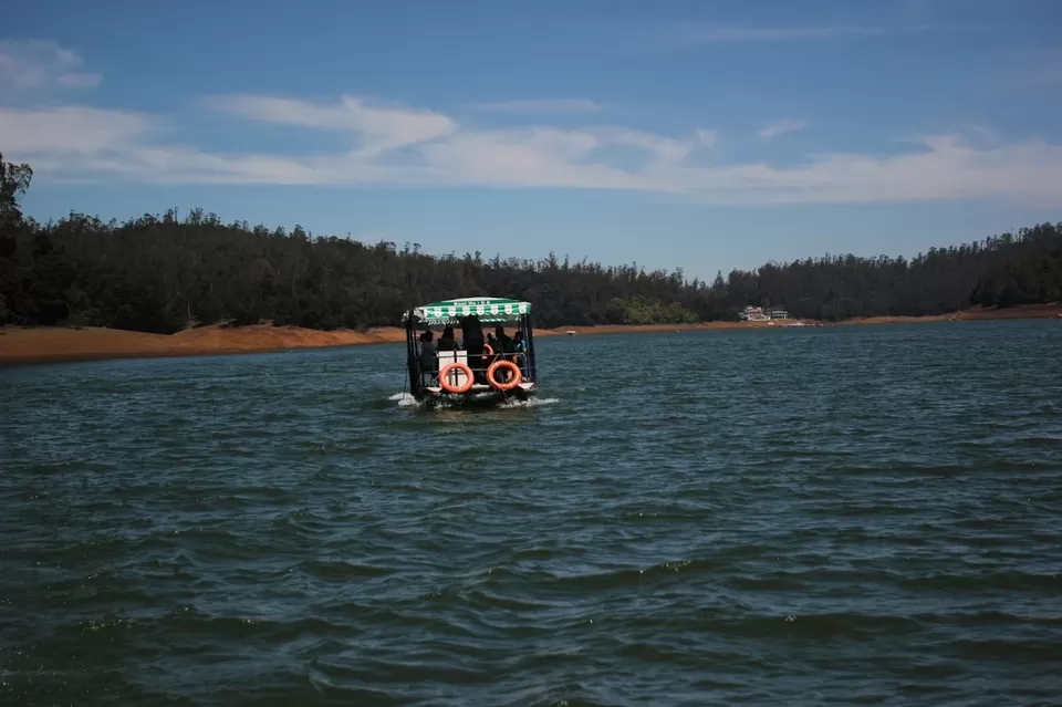 Photo of Pine Forest Shooting Spot, Ooty Main, Nilgiris, Tamil Nadu, India by We Unsettled Soul