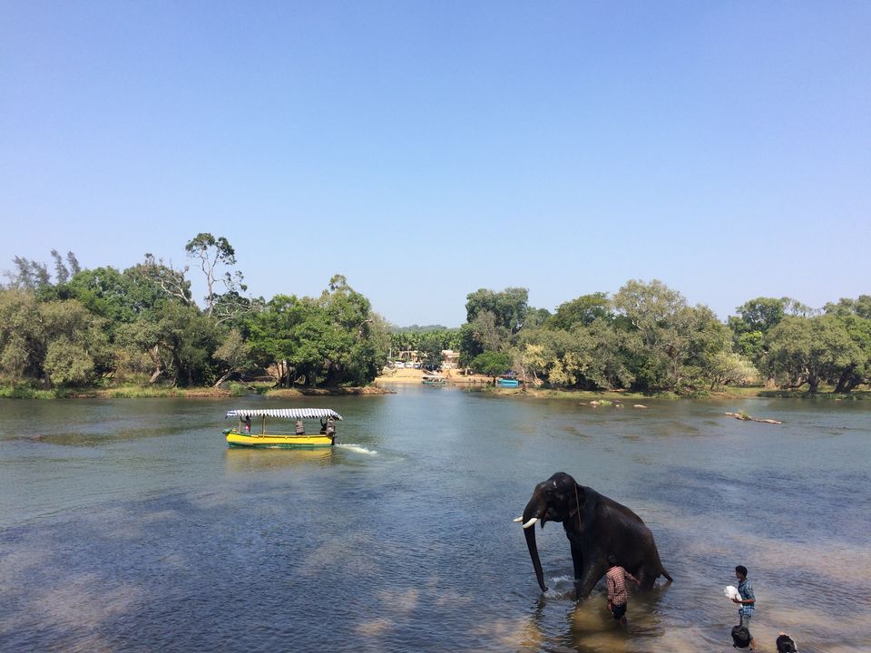 Photo of Dubare Elephant Camp, Nanjarayapatna, Karnataka, India by Puja & Sudi !!