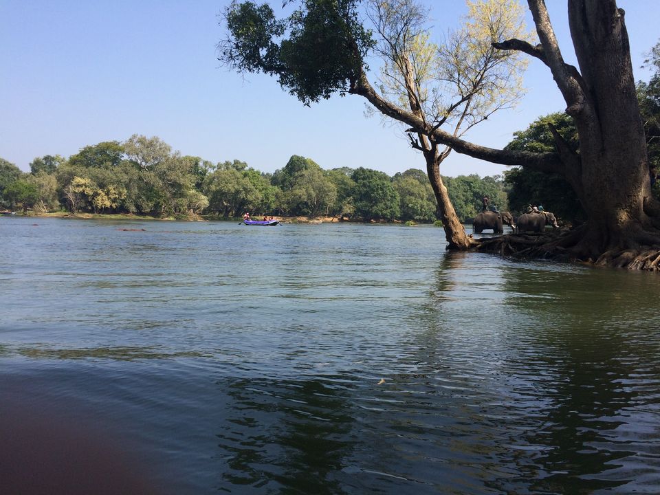 Photo of Dubare Elephant Camp, Nanjarayapatna, Karnataka, India by Puja & Sudi !!