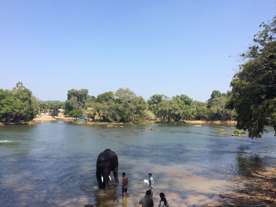 Photo of Dubare Elephant Camp, Nanjarayapatna, Karnataka, India by Puja & Sudi !!