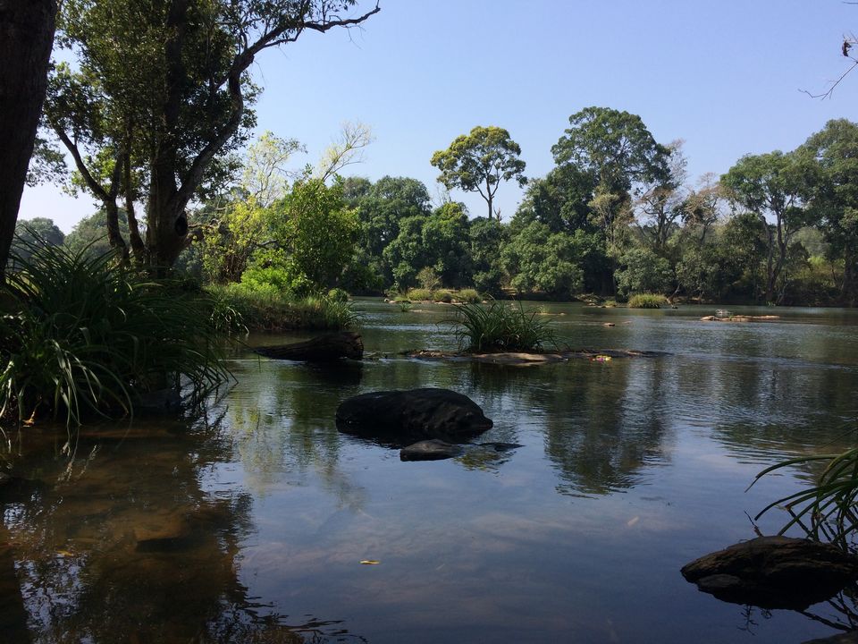Photo of Dubare Elephant Camp, Nanjarayapatna, Karnataka, India by Puja & Sudi !!