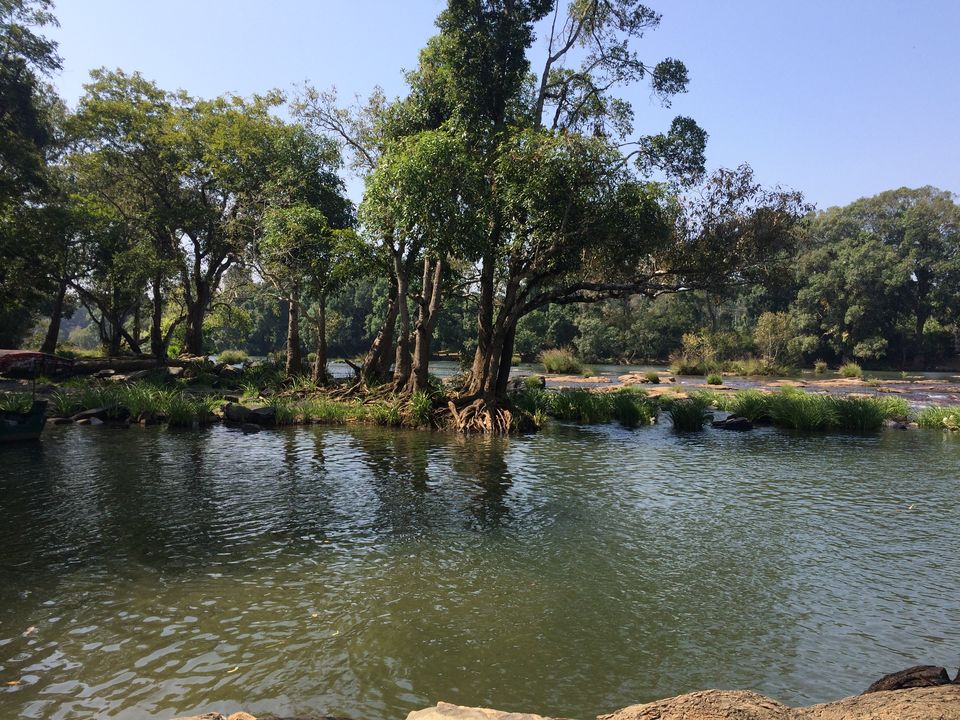 Photo of Dubare Elephant Camp, Nanjarayapatna, Karnataka, India by Puja & Sudi !!