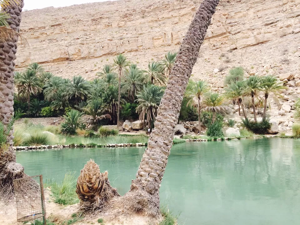 Photo of Wadi Bani Khalid, Ash Sharqiyah North Governorate, Oman by We Unsettled Soul