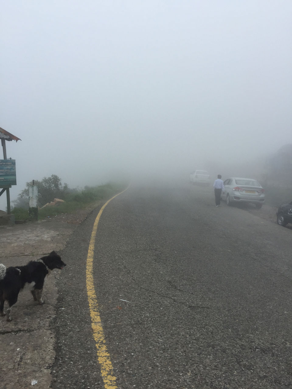 Photo of Cherrapunjee, Meghalaya, India by Kritharth Pendyala