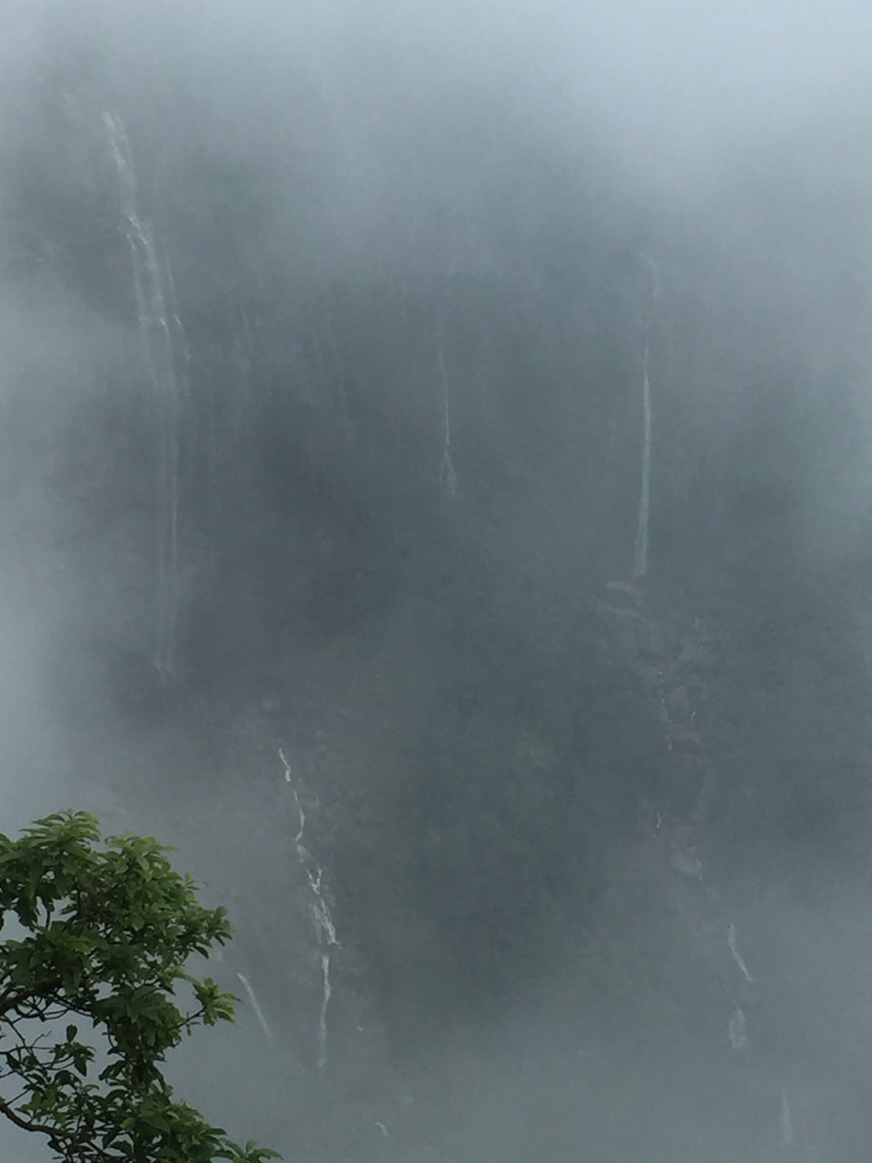 Photo of Cherrapunjee, Meghalaya, India by Kritharth Pendyala