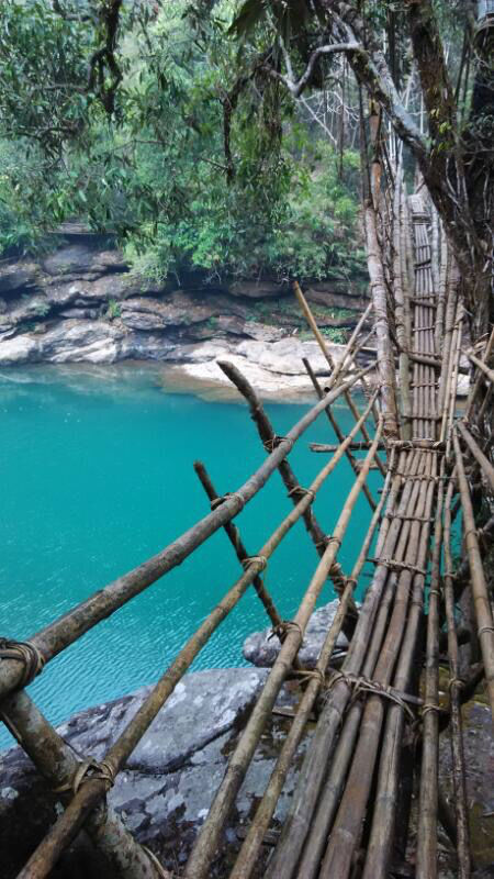 Photo of Mawlynnong Nongrai Homestay, Mawlynnong, Meghalaya, India by Kritharth Pendyala