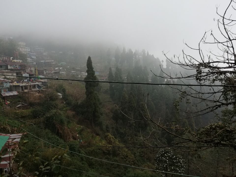 Photo of Neora Valley National Park, Darjeeling, West Bengal, India by Neekhil Singh