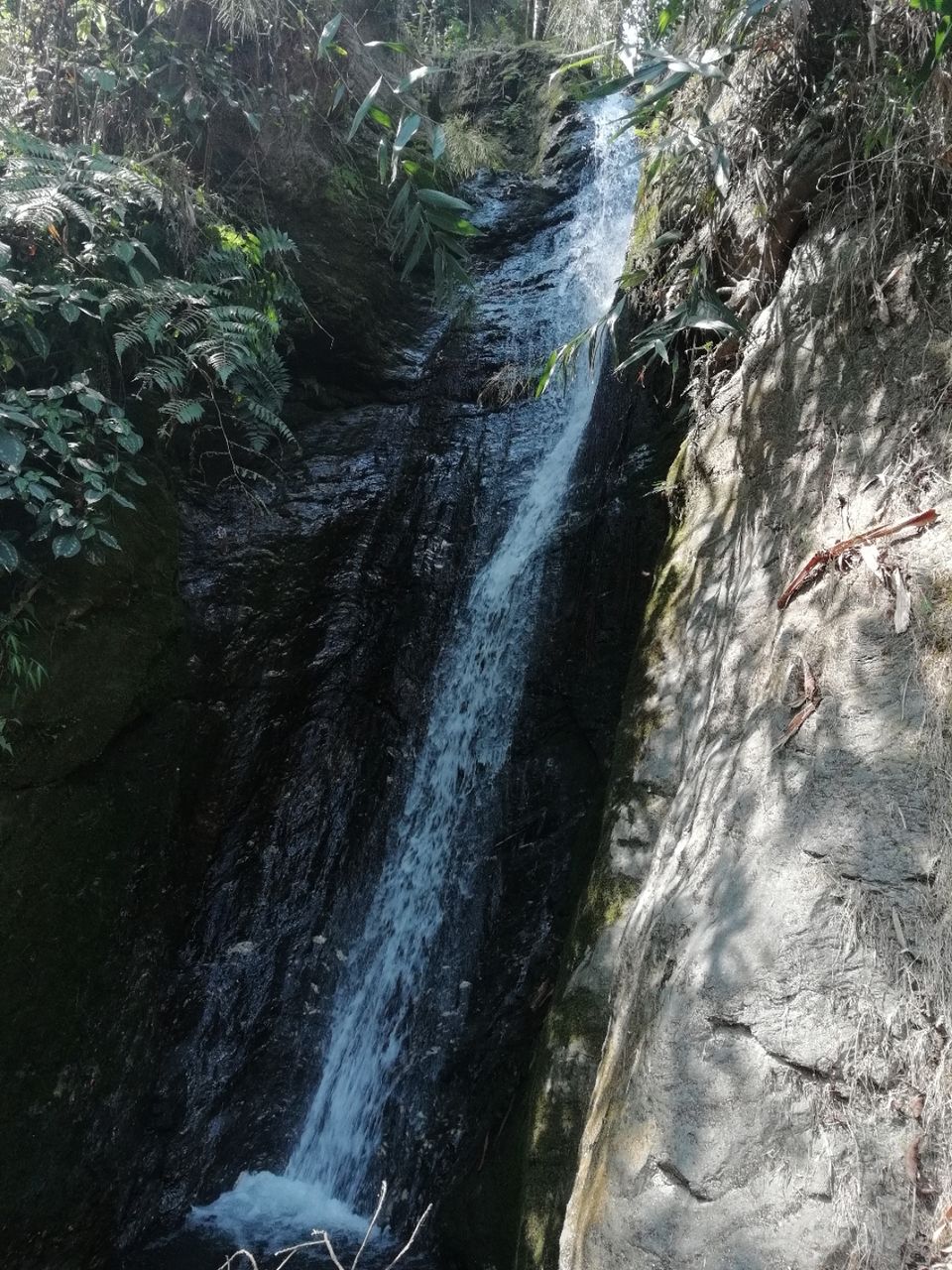 Photo of Aritar, Sikkim, India by Yatra Vritant | यात्रा वृतांत