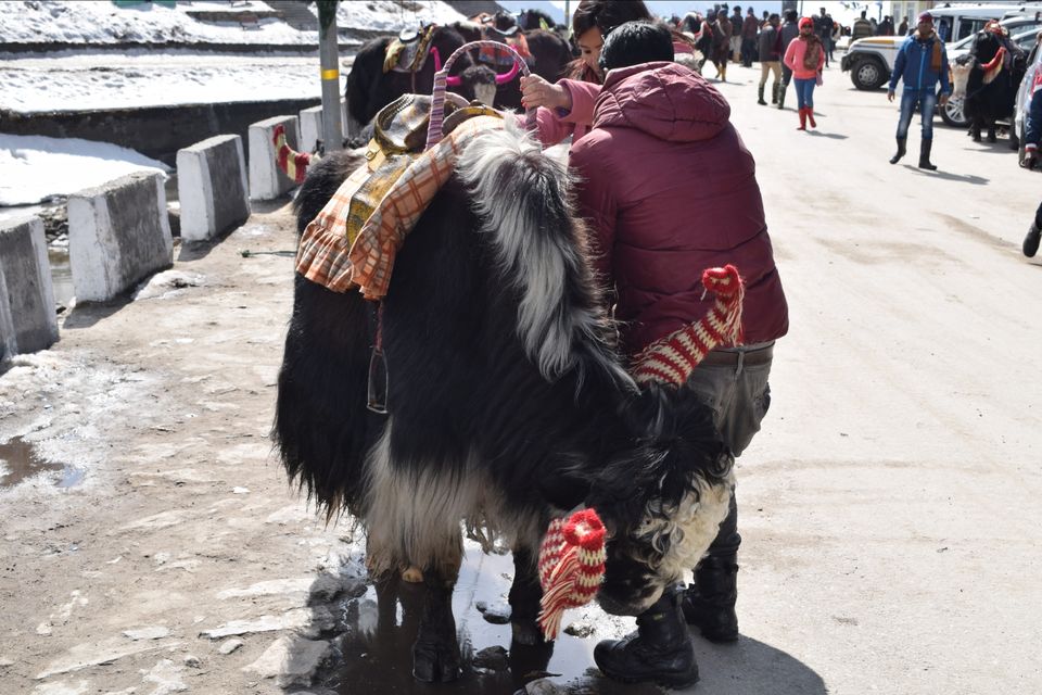 Photo of Tsomgo Lake, Sikkim, India by Yatra Vritant | यात्रा वृतांत