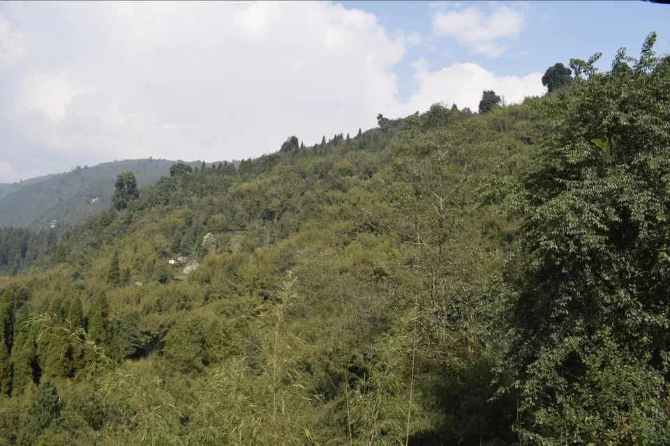 Photo of Sikkim Himalayan Zoological Park, Gangtok, Sikkim, India by Yatra Vritant | यात्रा वृतांत