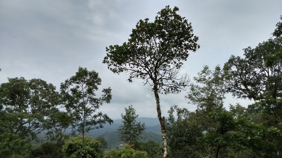 Photo of Around Coorg in Exactly Two Days: A Quick Trip Guide by Savaari