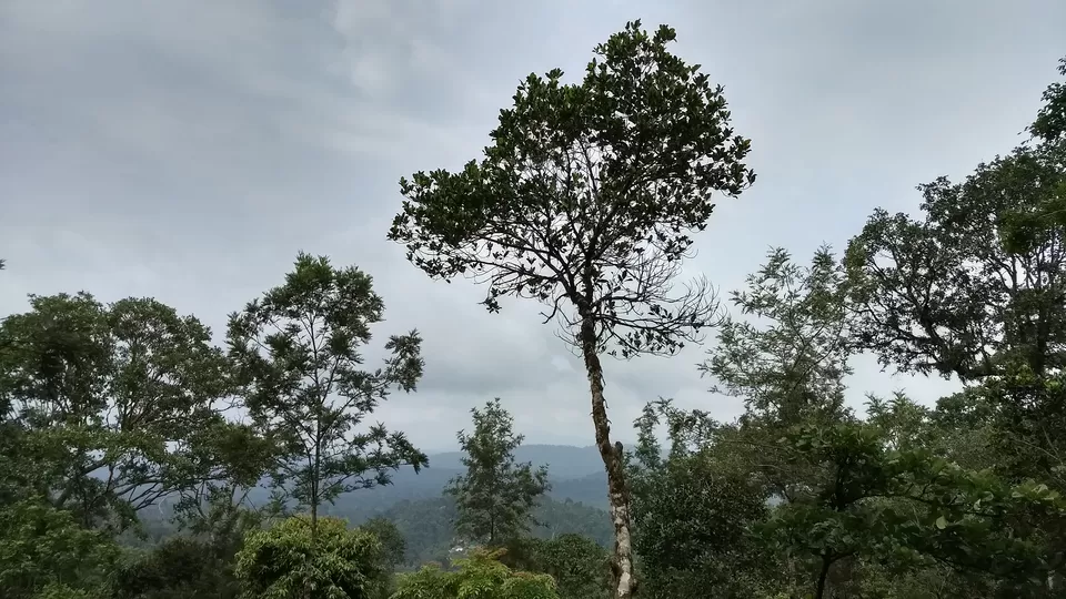 Photo of Around Coorg in Exactly Two Days: A Quick Trip Guide by Savaari
