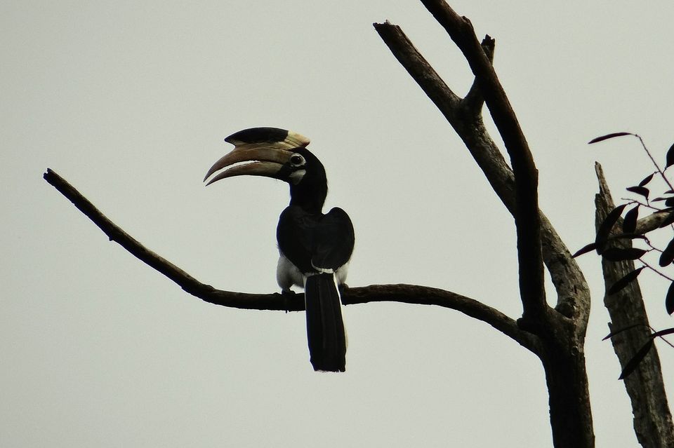 Photo of Rafting and adventure in Dandeli 3/3 by Savaari