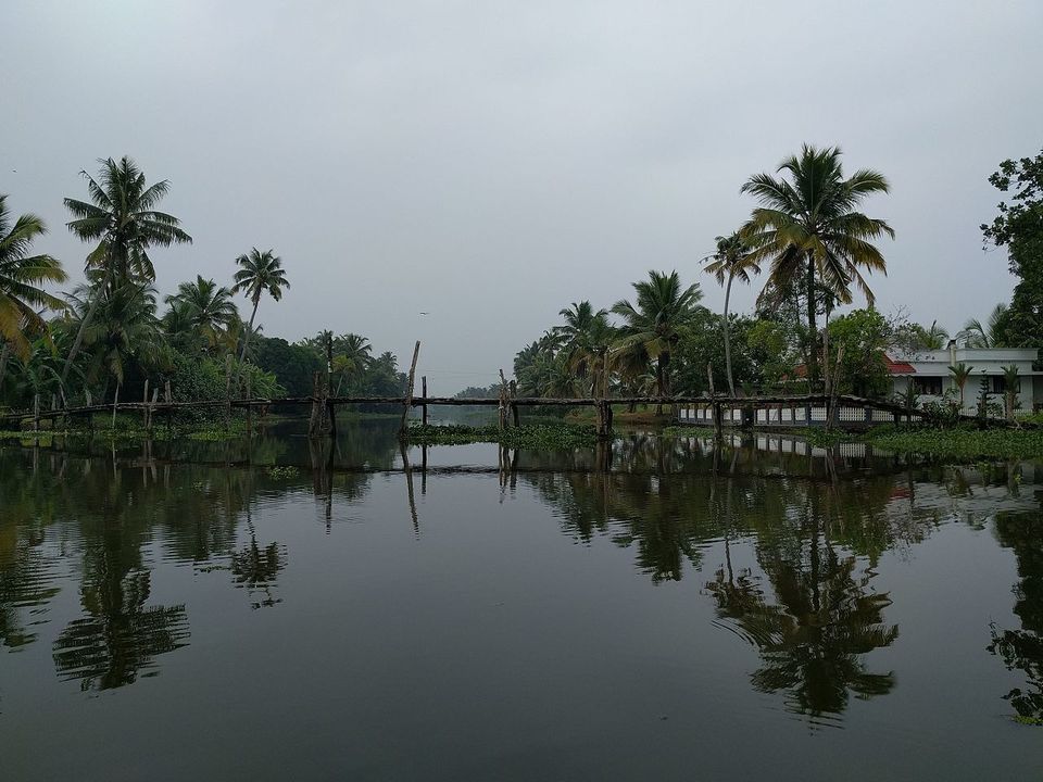 Photo of Exploring Kerala’s backwaters in Kumarakom 2/4 by Savaari