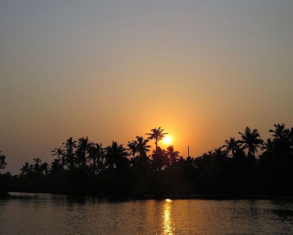 Photo of Exploring Kerala’s backwaters in Kumarakom 4/4 by Savaari