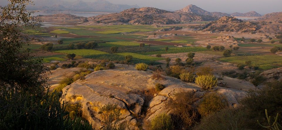 Photo of Spotting Leopards at the Jawai Leopard Camp 1/4 by Savaari
