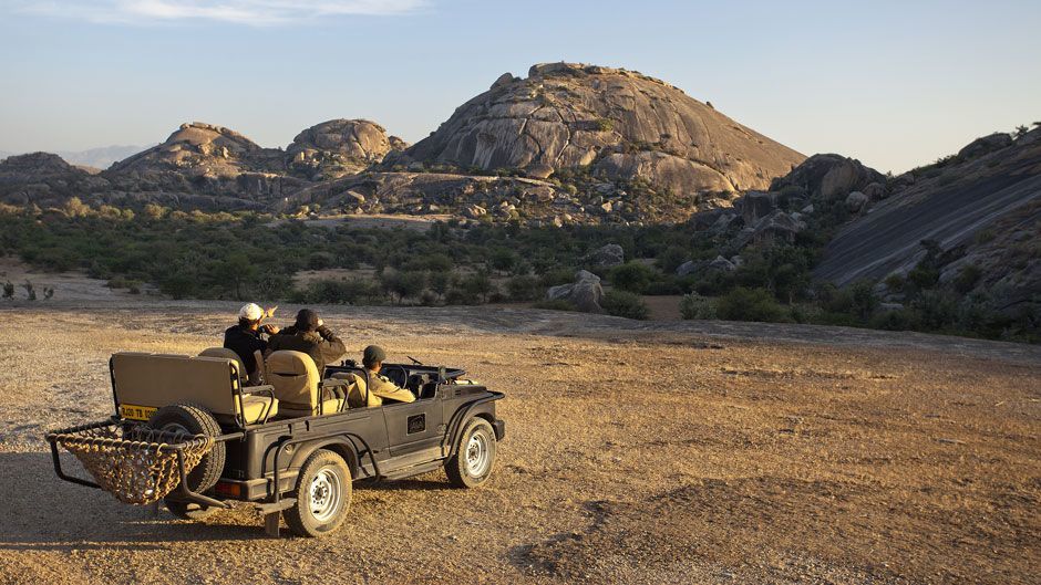 Photo of Spotting Leopards at the Jawai Leopard Camp 2/4 by Savaari
