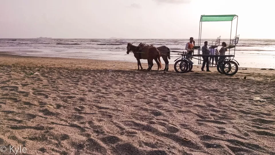 Photo of kihim Beach, Maharashtra, India by Kyle Dsouza