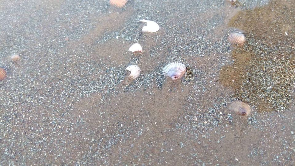 Photo of Digha Beach, West Bengal by Gayatri Bunny Saha