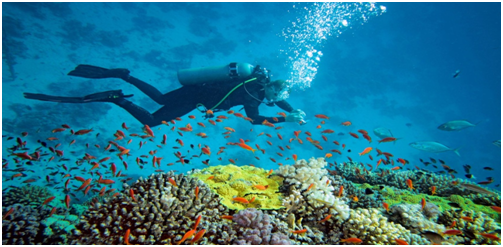 Photo of Let beaches be your summer Love! by Flying Venus Travels Pvt. L