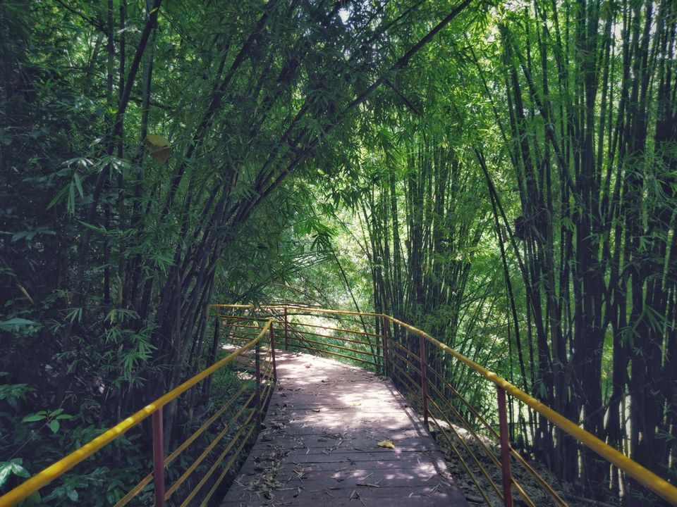 Photo of Tepania Eco Park, Shillong - Agartala - Sabrum Road, Radhakishorepur R.F., Tripura, India by Lakshmisha Kerekoppa