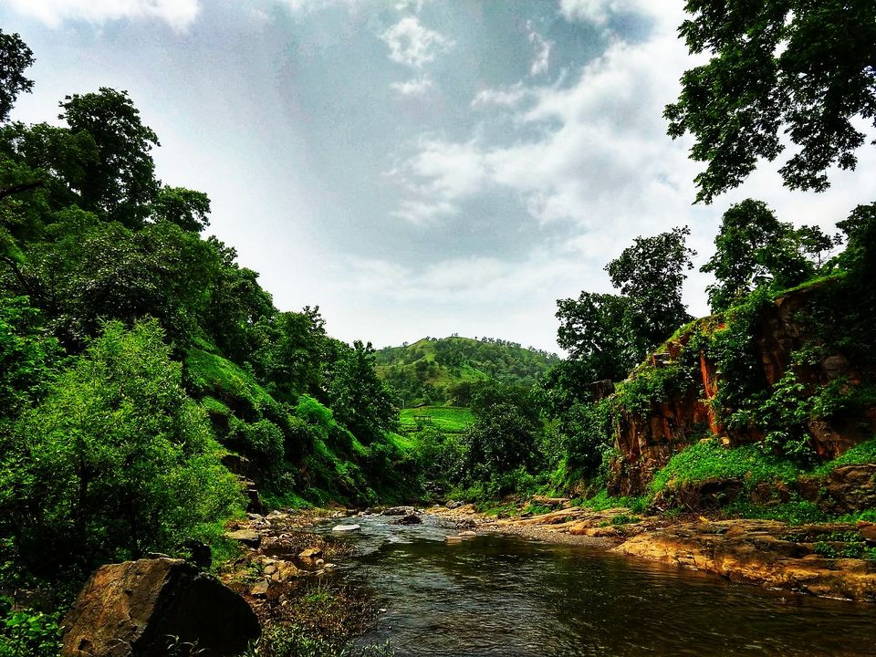 Photo of Ratanmahal Sloth Bear Sanctuary, Kanjeta, Guyarat, India by TANMAY DOSHI