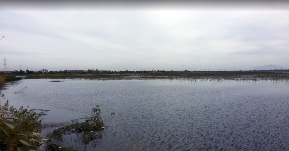 Photo of Timbi lake by TANMAY DOSHI