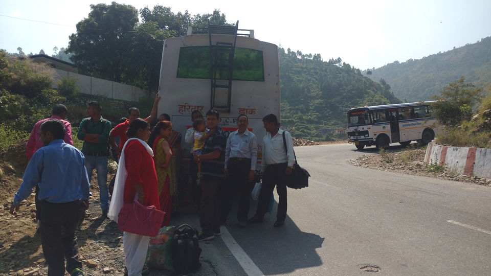Photo of Gaumukh Tapovan Trek – Hiking to the base of Mount Shivling with an Ascetic 2/24 by First Pilgrim