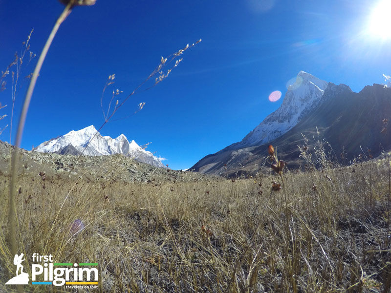Photo of Gaumukh Tapovan Trek – Hiking to the base of Mount Shivling with an Ascetic 20/24 by First Pilgrim
