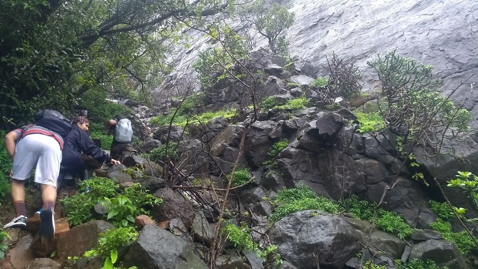 Photo of Kalavantin Durg And Prabalgad Fort :People don't Take Trips,Trips Take people. by PANKAJ KUMAR