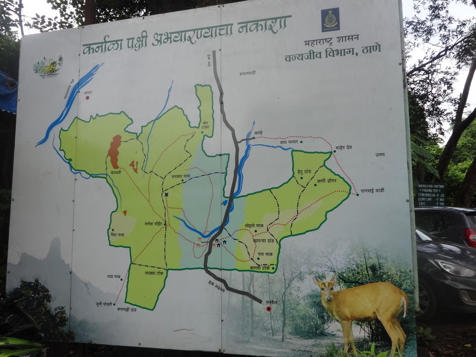 Photo of Karnala fort & bird sanctuary Jungle trek by PANKAJ KUMAR